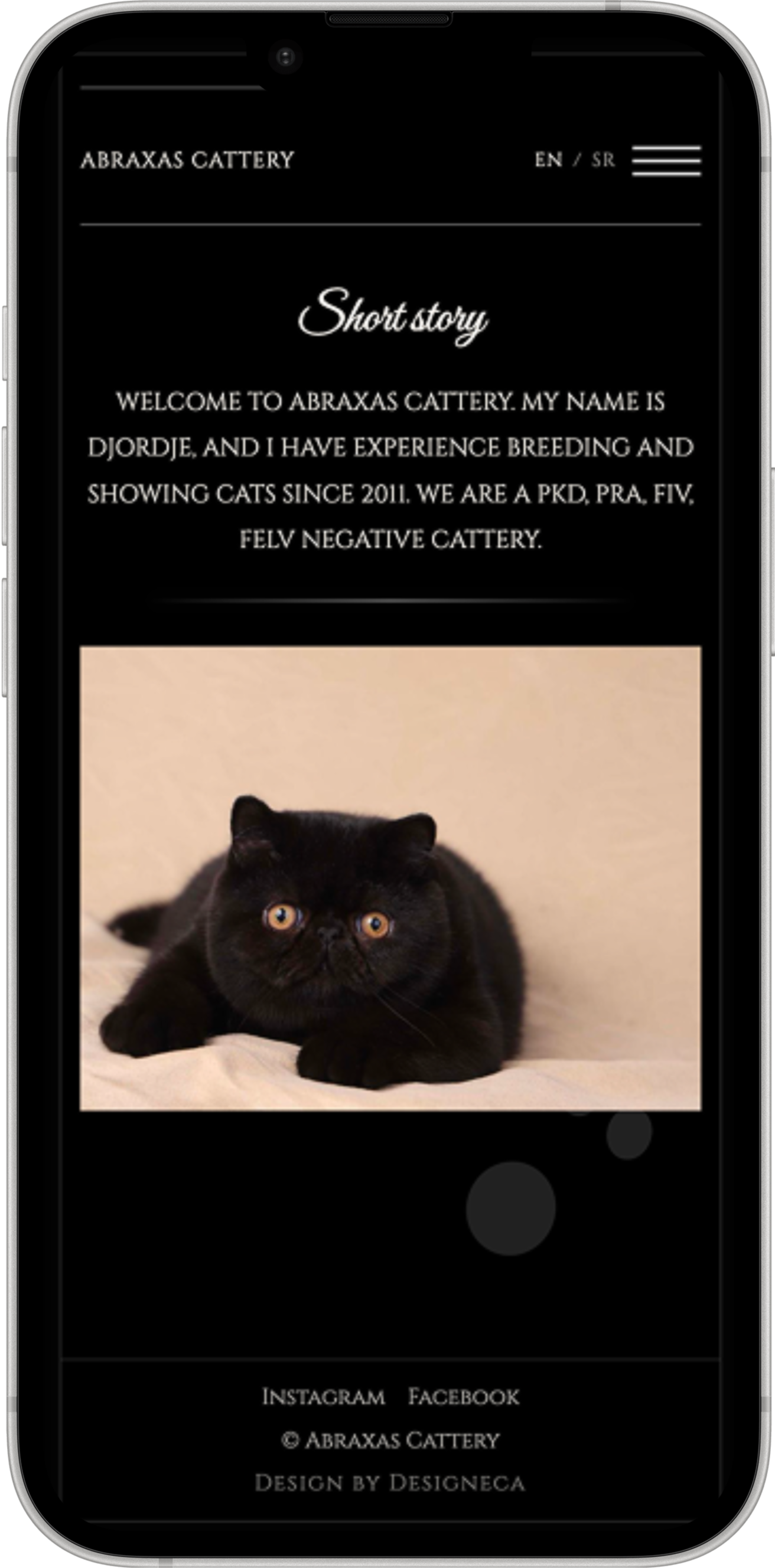 Poslovni web sajt za Abraxas Cattery