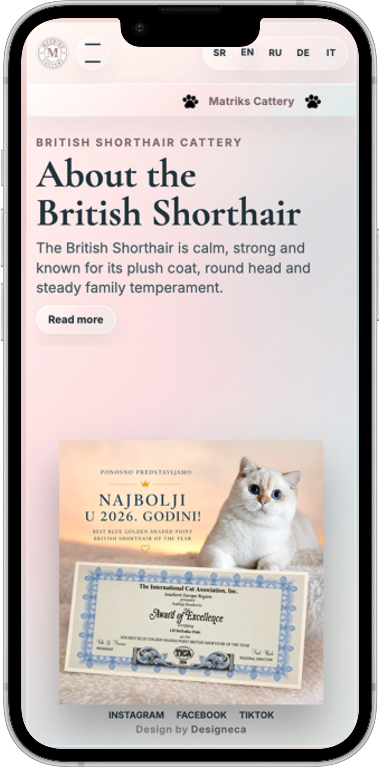Web sajt za Matriks Cattery